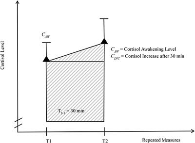 Adrenocortical Activity and Aggressive Behavior in Children: A Longitudinal Study on Risk and Protective Effects